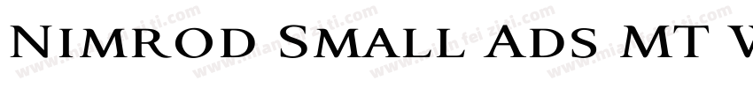 Nimrod Small Ads MT W00 Ext字体转换